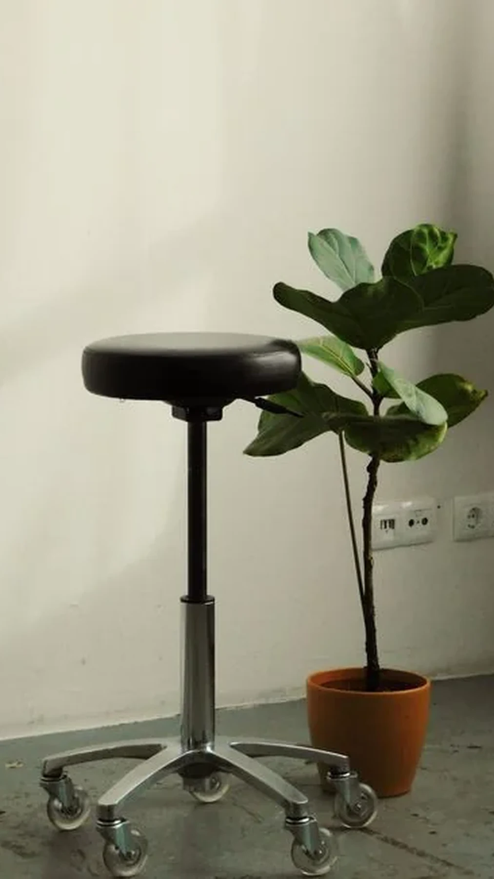 Espace studio pour une séance photo ou une production vidéo